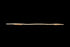 Rocket - Macro (Ian Freire Pro) 36" - Enjoy 10% off upon purchase of a board now or before!